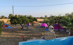 Aree Tende Presso La Casa In Campagna Di Ottavia